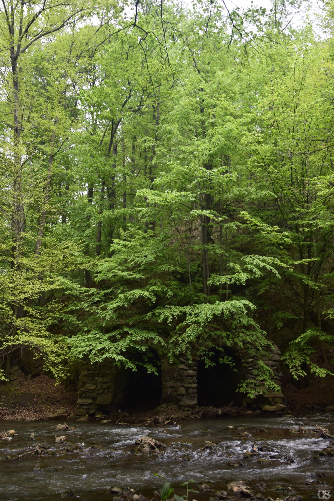 Sciezka Hochbergow 27.jpg